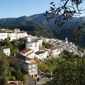https://apartamentos-rurales-jardines-del-visir.es-andalucia.com